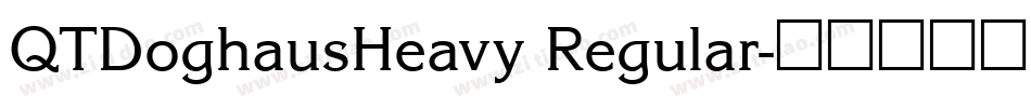 QTDoghausHeavy Regular字体转换